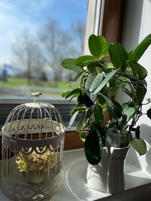 Ferienwohnung Familie Ahrend ヴェルニゲローデ エクステリア 写真